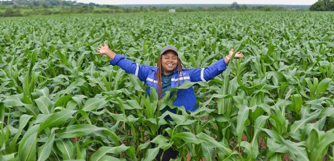 Corteva Agriscience building Resilience for South African Grain farmers