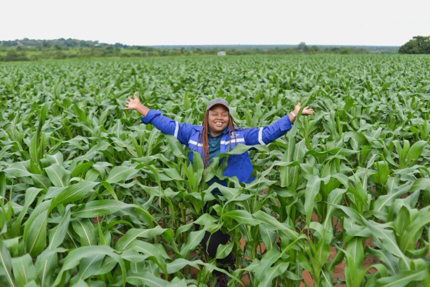Corteva Agriscience building Resilience for South African Grain farmers Corteva Agriscience building Resilience for South African Grain farmers