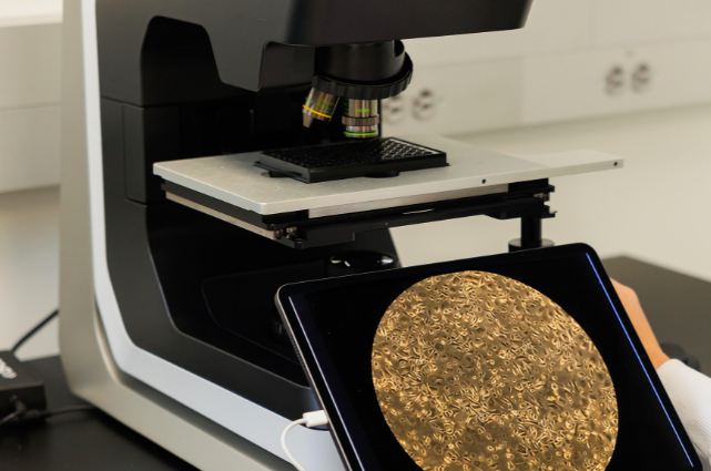 Innovation: Debut Engineers New Biotech Ingredient for Hyperpigmentation